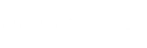 cropped-custom-–-3.png